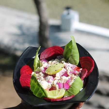 Shivanjal Wellness And Accommodation Rishīkesh 外观 照片
