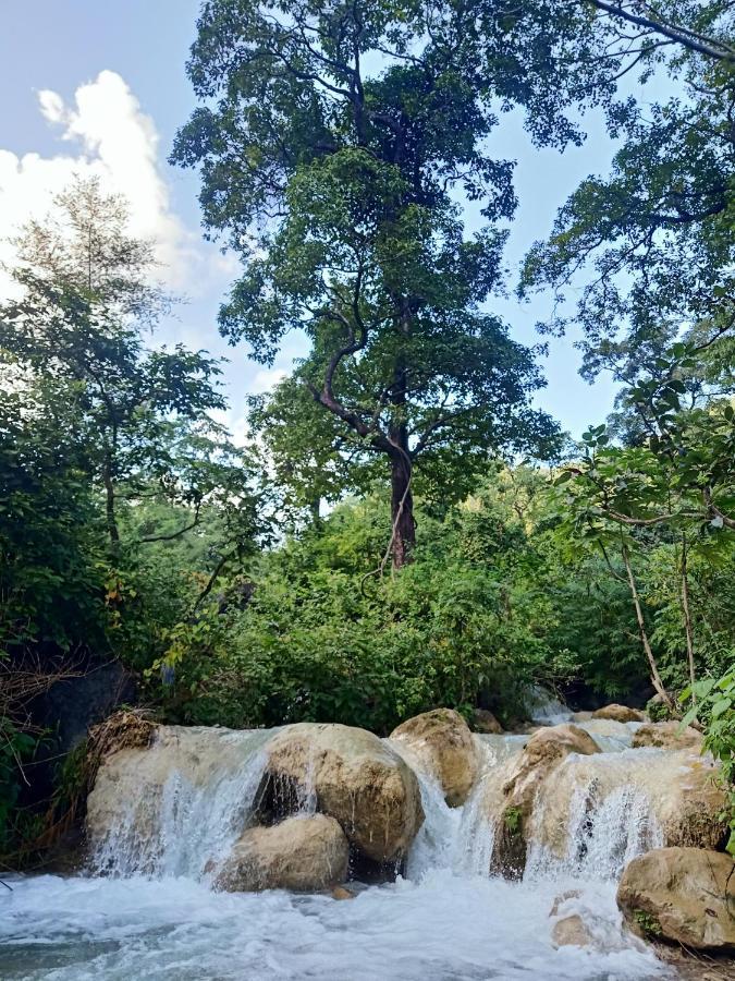 Shivanjal Wellness And Accommodation Rishīkesh 外观 照片
