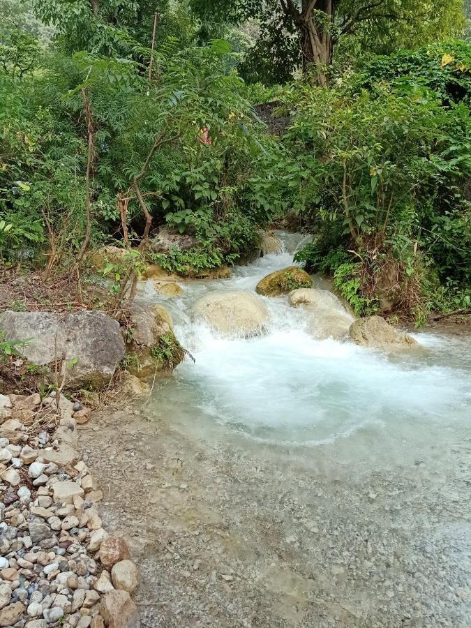 Shivanjal Wellness And Accommodation Rishīkesh 外观 照片