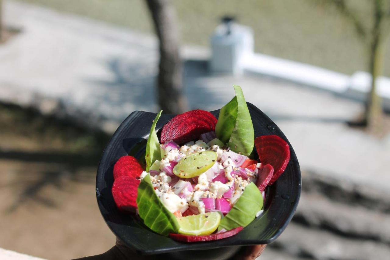 Shivanjal Wellness And Accommodation Rishīkesh 外观 照片